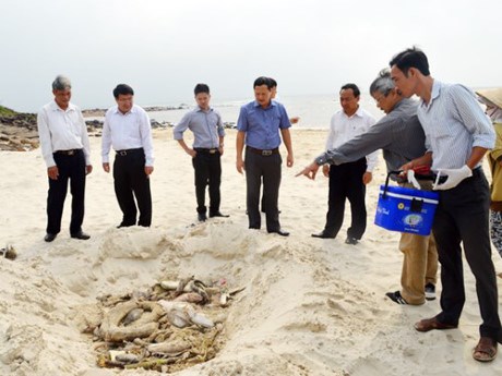 Không thể đánh đổi môi trường lấy phát triển kinh tế. (28/4/2016)